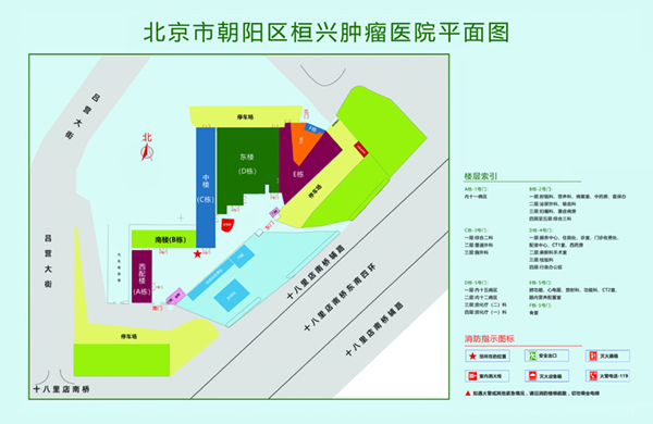 操逼嘴视频北京市朝阳区桓兴肿瘤医院平面图